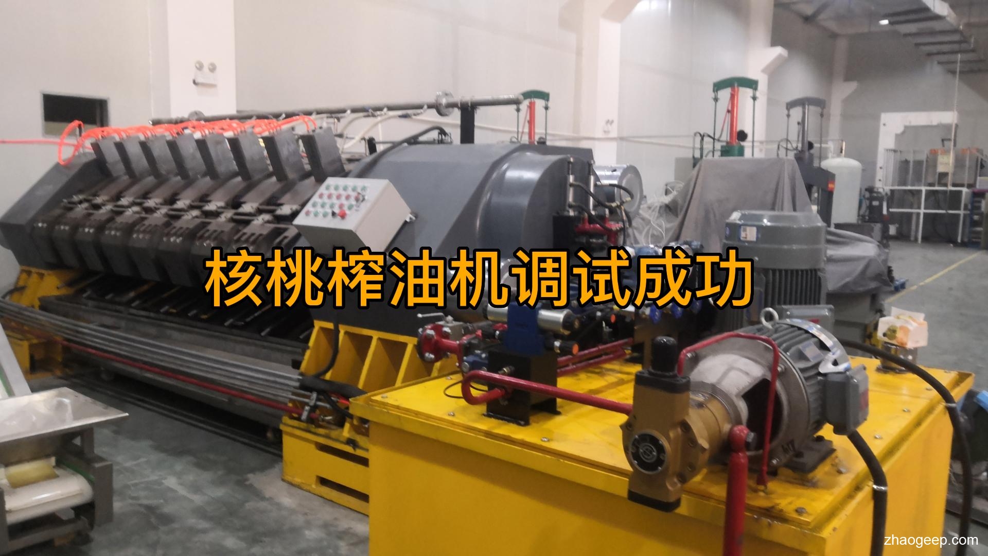 鑫兆豐YZYW全自動(dòng)液壓榨油機(jī) 成功案例新核桃榨油機(jī)投料調(diào)試成功 